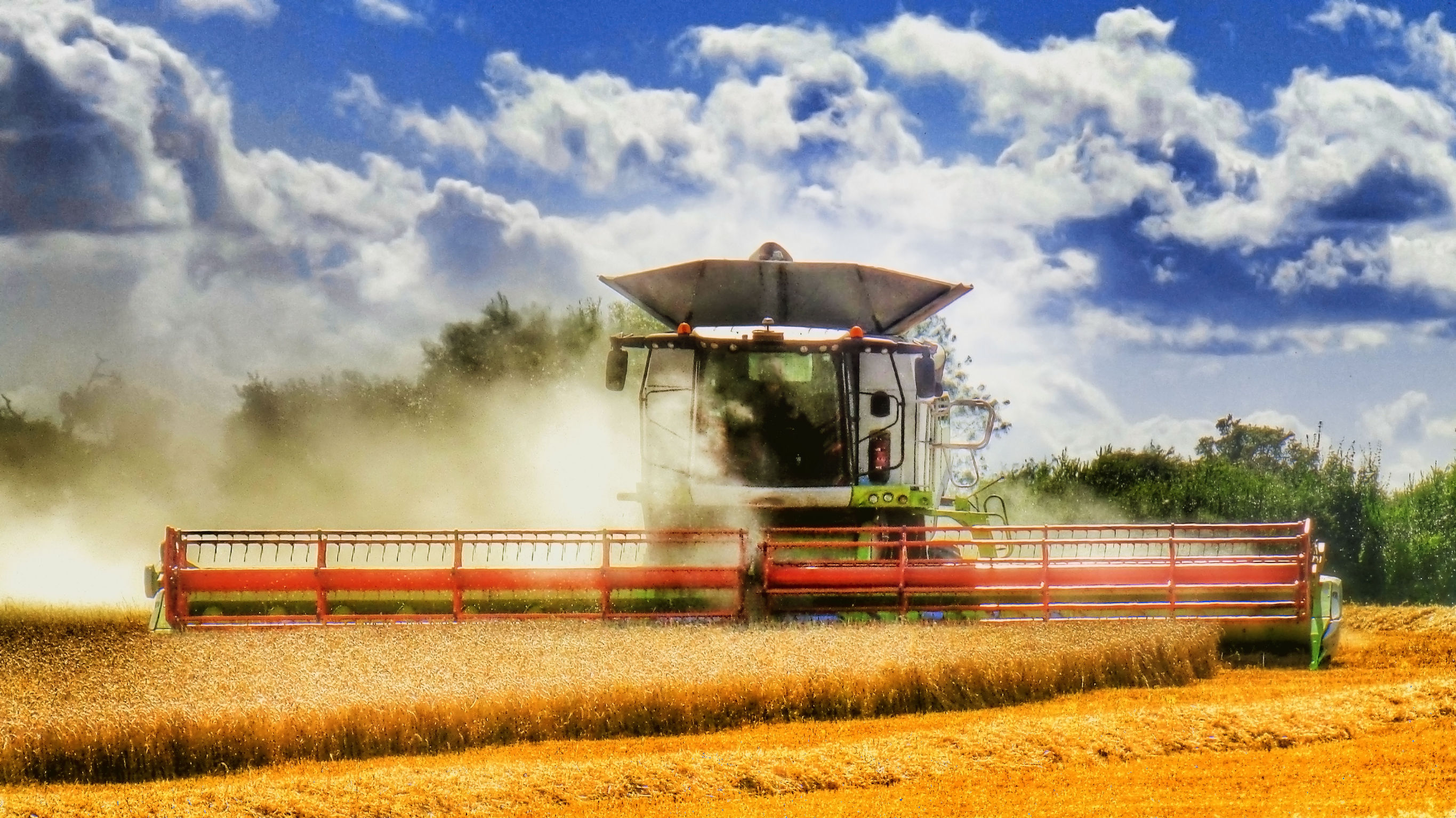 The 'strategic importance' and 'economic value' of the British food and farming industry must 'not be overlooked', the NFU said