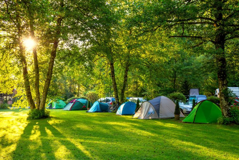 The show is billed as the world’s largest vegan camping festival, and will be hosted by an agricultural society at their showground (Stock photo)