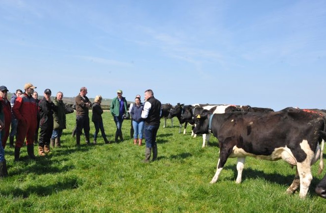 There is a 'very strong link' between grass utilisation and profit, farmers heard