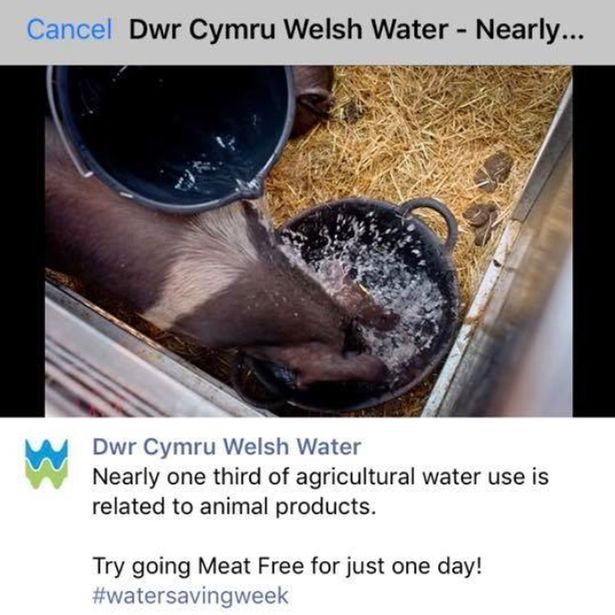The now deleted message (Photo: Welsh Water/Facebook)