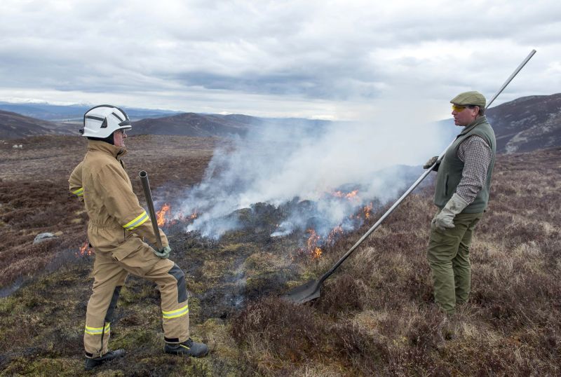No wildfires have been reported on Scottish grouse moors as muirburn season closes