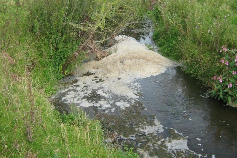 The farmer has been sentenced after pleading guilty to waterway pollution
