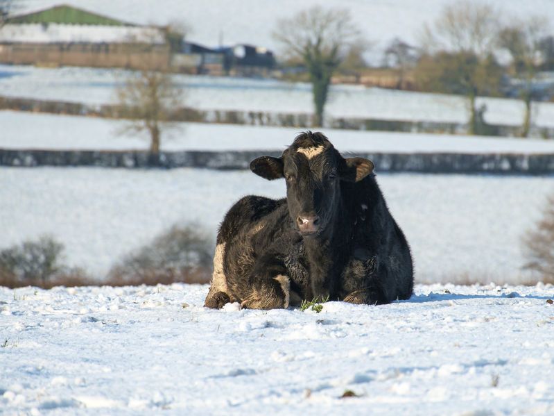 Challenging weather conditions affected the performance of the UK agricultural industry