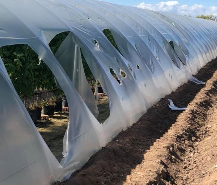 Farm manager Allen Innes said thousands of pounds of damage has been caused (Photo: Alan Innes/Facebook)