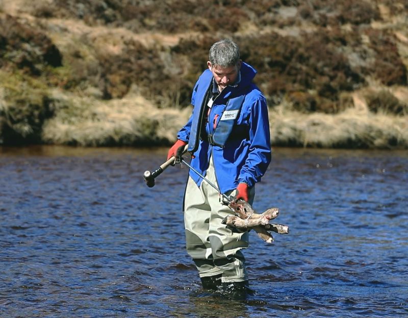 Juvenile salmon are fed on the nutrients of the deer legs, consequently boosting their numbers