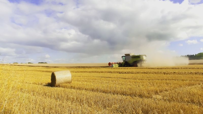 Cody Wood admits that breaking into any new industry isn’t easy and that farming has a unique set of challenges