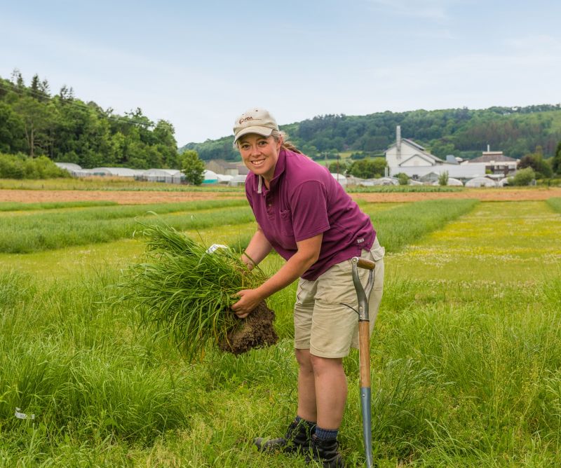 IBERS plant breeder Dr Sarah Palmer said it is 'important' that the varieties bred are in demand in years to come