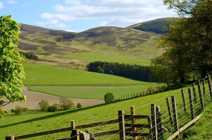 Thousands of hectares of public sector land in Scotland has been released to people who want to become farmers