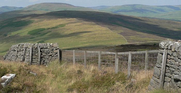 Alongside Langholm Moor, much of the area is currently part of the estate's farming operation (Photo: GCWT)