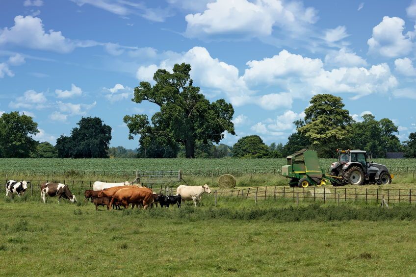 Over a quarter of British farmers surveyed in the report back a 'no-deal hard Brexit'