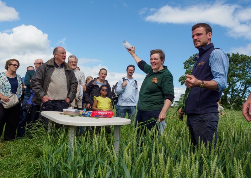 Farmers across the UK have opened their gates today for Open Farm Sunday (Photo: @LEAF_Farming/Twitter)