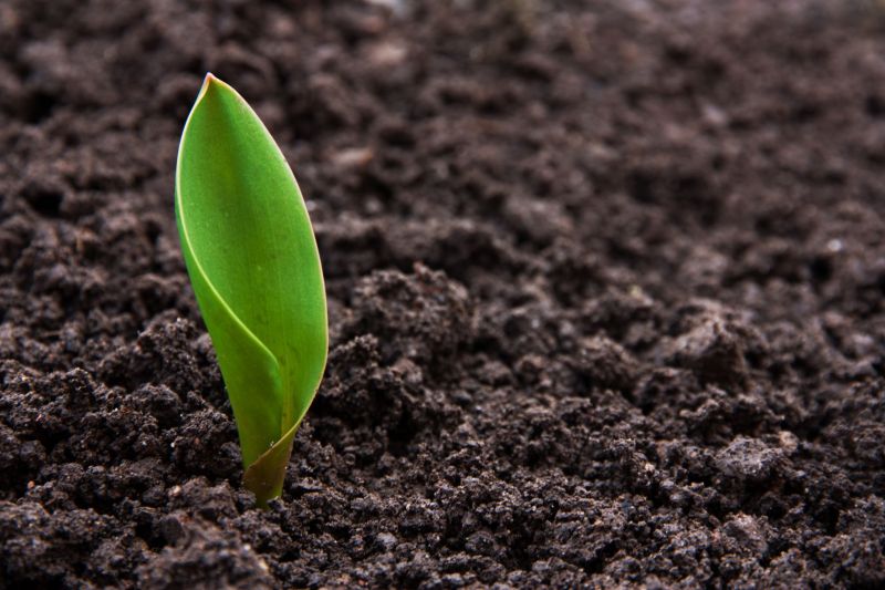 Britain’s soil is the food production engine to fuel a growing population