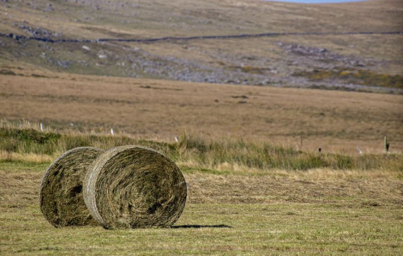 Total returns to the farmer averaged £375/ha in 2018