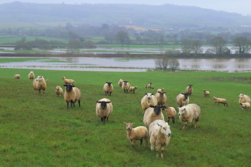 Agriculture 'must not be ignored' when it comes to the increasing flood risk in the UK