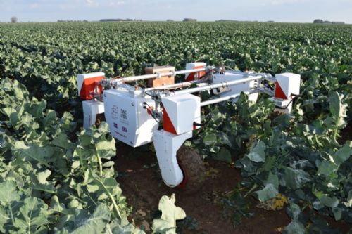 The project will look at how robots can tend, harvest and quality control high-value crops with minimum human intervention