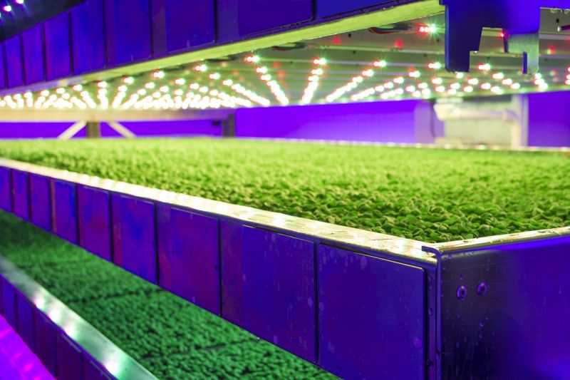 In 2019, the UK-based company will be deploying indoor farming systems for clients in every major territory globally