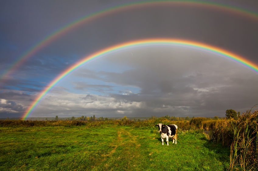 The number of livestock farmers using a health plan has fallen