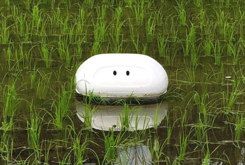 The small robot helps farmers destroy weeds in the rice paddy fields (Photo: Nissan Japan)