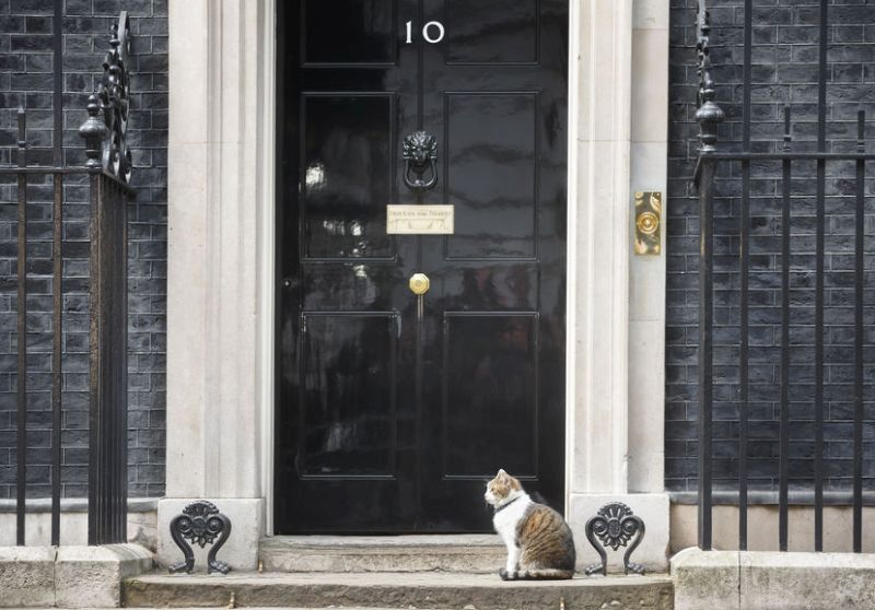 The UK's next Prime Minister has been urged to make a 'public commitment' to rural voters