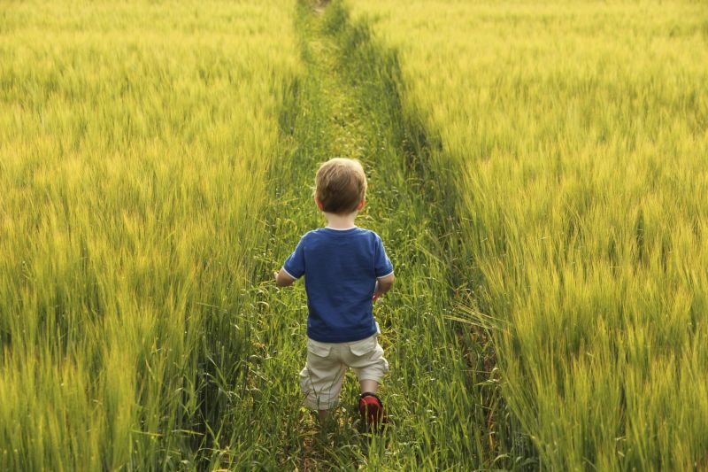 The NI farming community has been urged to keep children safe on the farm this summer (Photo: Yellow Wellies)