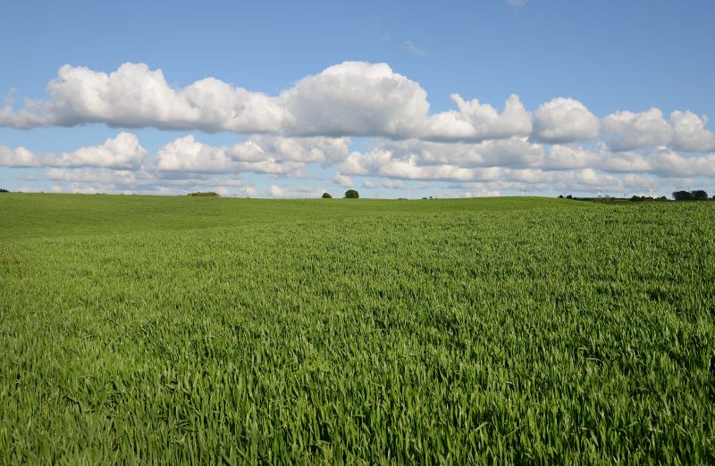 The current owners have ensured the land has benefited from a healthy supply of slurry and farmyard manure