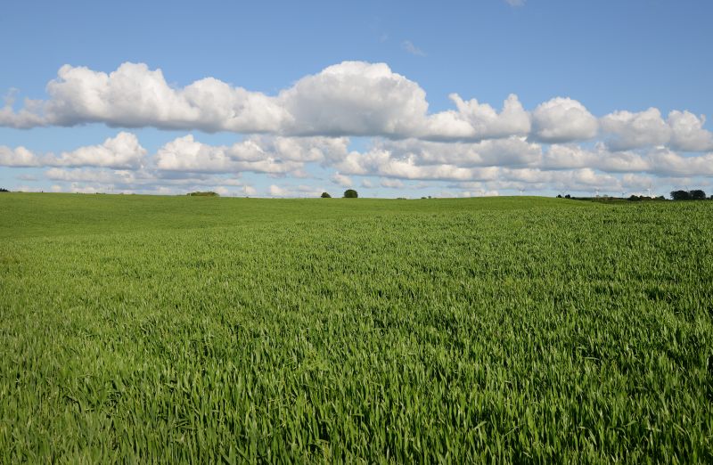 The current owners have ensured the land has benefited from a healthy supply of slurry and farmyard manure
