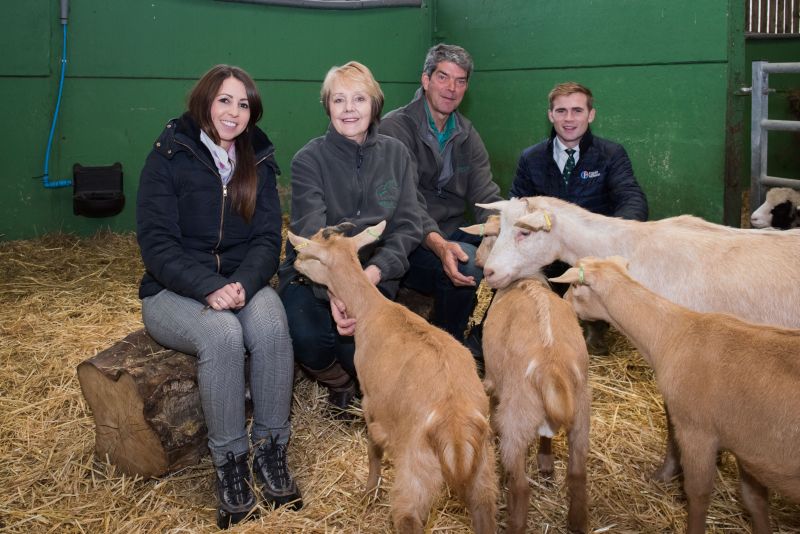 Green Dragon Eco Farm in Buckinghamshire is on the market for £1.3m