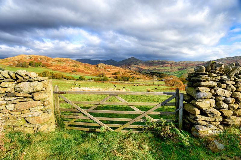 Nearly half of the land farmed in England under an agricultural tenancy is through a Farm Business Tenancy