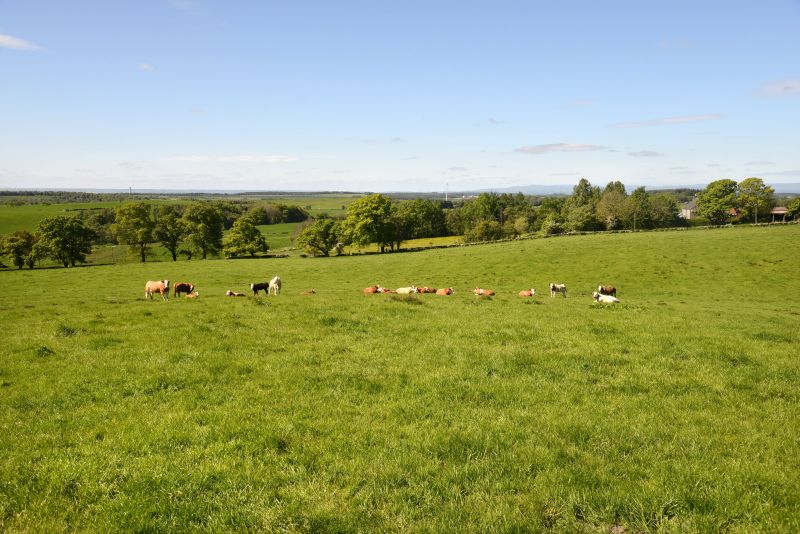 The farmland extends to the north and south of the holding