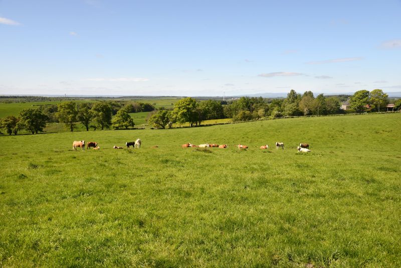 The farmland extends to the north and south of the holding