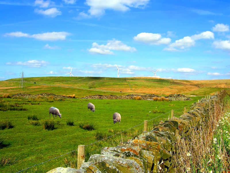 The NFU calls for measures such as capturing more carbon on farmland and boosting land-based renewables