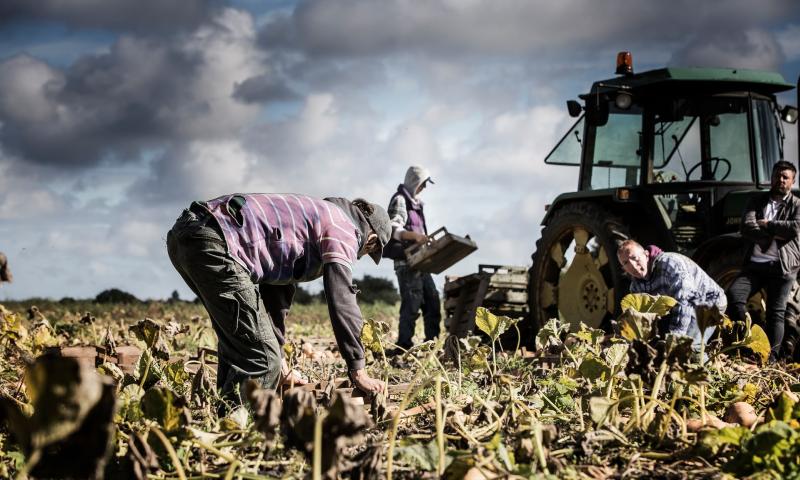 The farm workers were given as little as £20 per week by the traffickers (Photo: Stock photo/National Crime Agency)