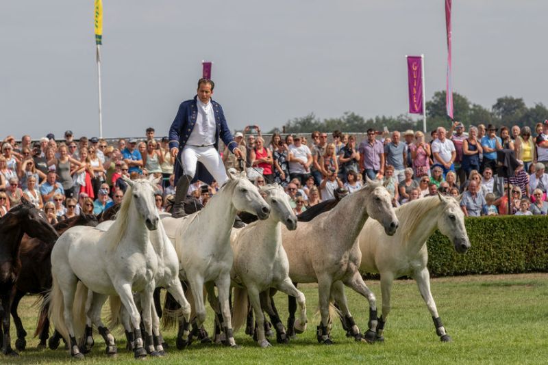 The Great Yorkshire Show is one of the UK's biggest agricultural events