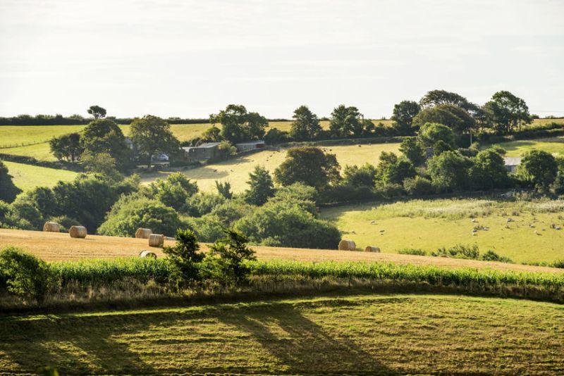 The draft strategy places a heavy emphasis on tenant farmers working towards environmental outcomes