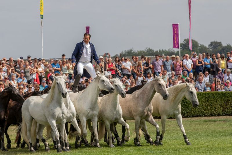 The Great Yorkshire Show attracts more than 130,000 visitors