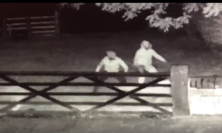 Three men entered the farm in the middle of the night (Photo: Steve Walker/Facebook)