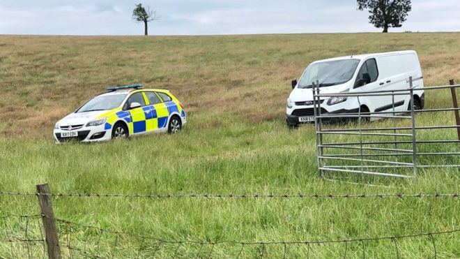 The sheep were stolen and slaughtered at a 'considerable loss of income to the farmer' (Photo: Northamptonshire Police)