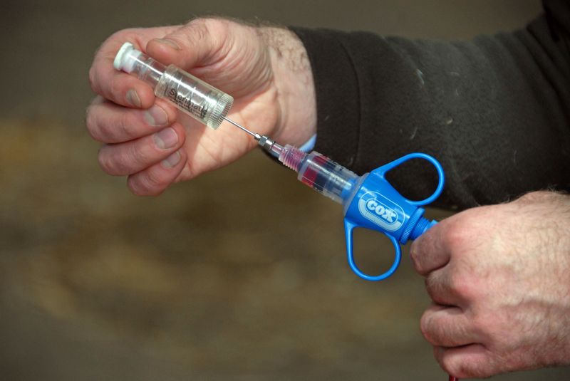 Development of these tests is a crucial step in implementing cattle TB vaccine programmes (Photo: Nick Spurling/Flpa/imageBROKER)