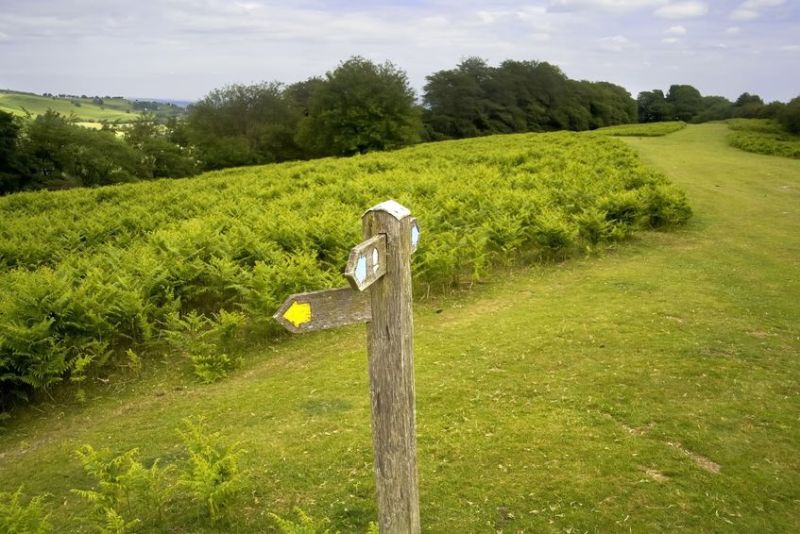 Offa's Dyke roughly follows the current border between England and Wales