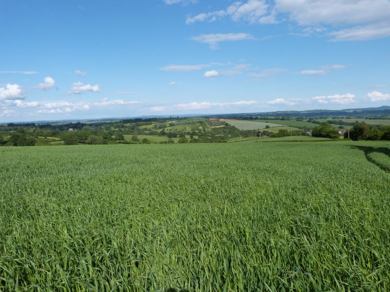 Earls Ditton Farm offers an opportunity for someone looking to purchase pasture or arable land