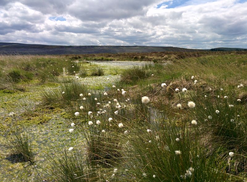 The scheme is available to all farmers and landowners regardless of their farming system