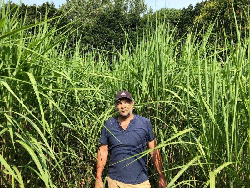 Norfolk farmer Adam Brewer supplies an energy plant 35-miles away from his farm