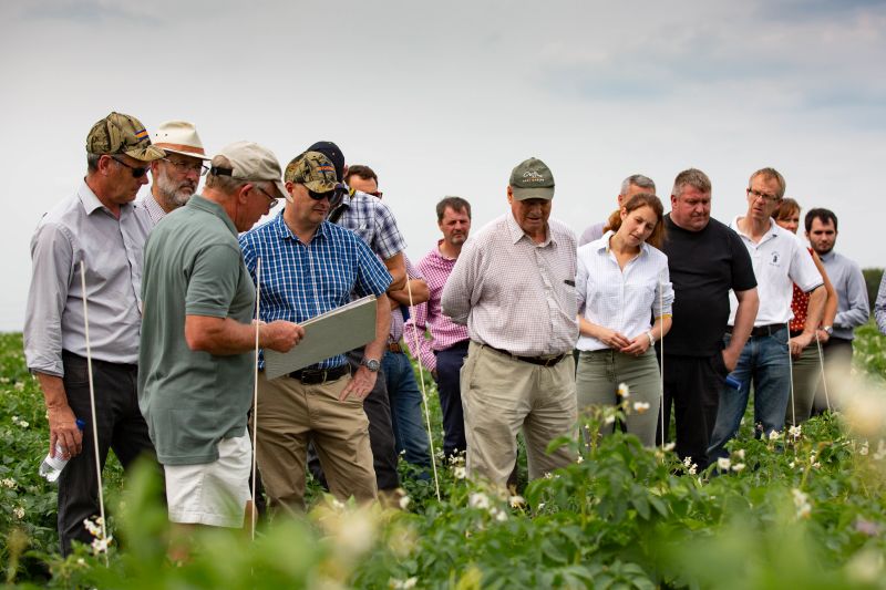 Growers gather to see how varieties fare under high PCN pressure at the Fenland demonstration