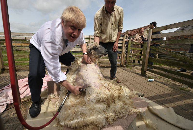 Boris Johnson toured a farm in Ripon, North Yorkshire earlier this month (Photo: OLI SCARFF/POOL/EPA-EFE)
