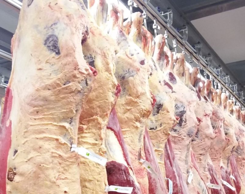 The improvement is a 'big step forward', according to a key beef processor