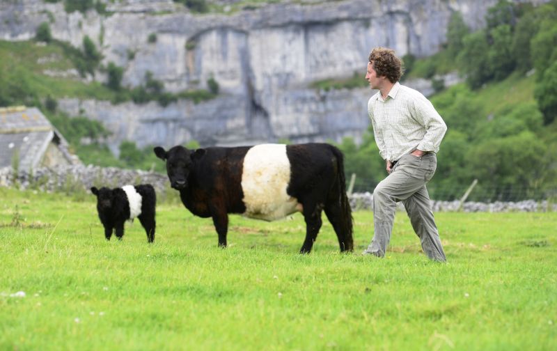 Dales farmer Neil Heseltine embraces sustainable ways of farming to enhance his landscape