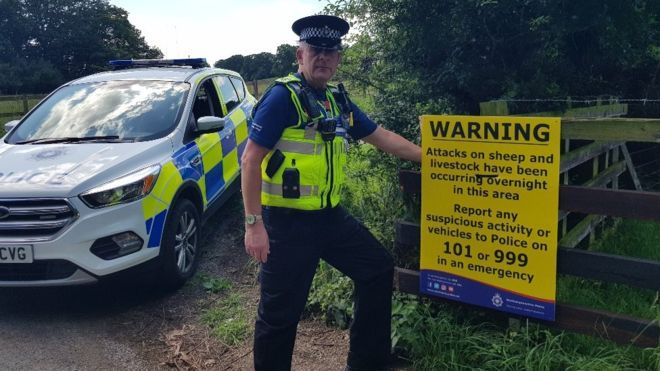 The county has experienced a spate of illegal butchery incidents in the past few months (Photo: Northamptonshire Police)