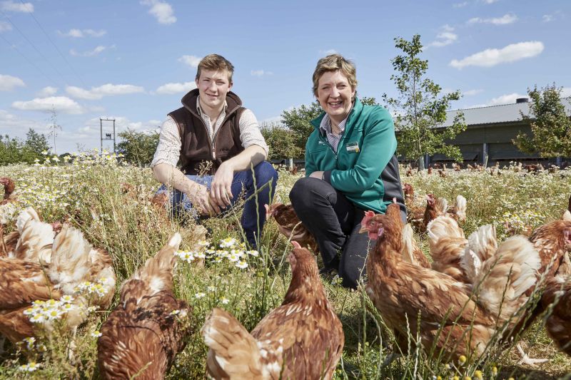 The mixture of plants are drilled in to five percent of the land on each farm to establish dedicated bumblebee habitats