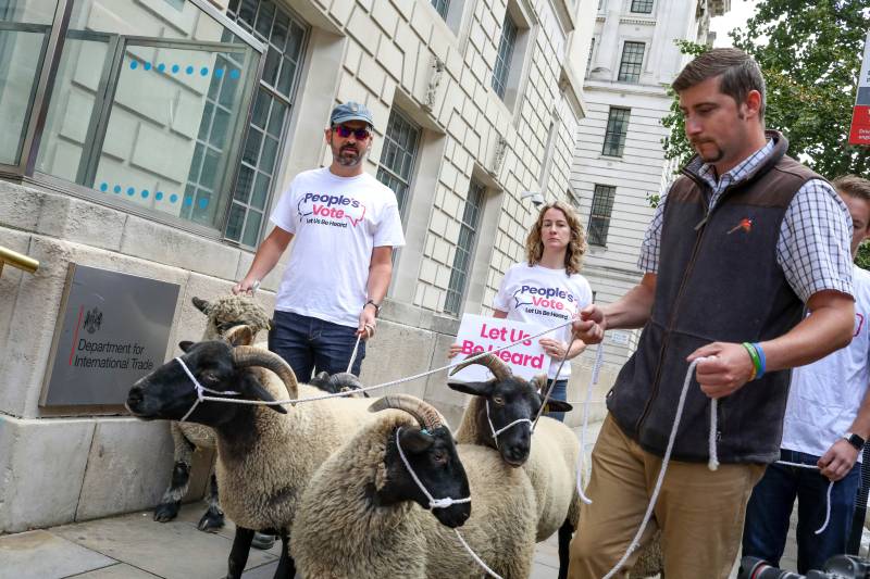 Demonstrators walk a flock of sheep outside British Government's Department of International Trade as part of a protest against Brexit (Photo: Vudi Xhymshiti/AP/Shutterstock)