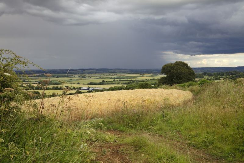 Heavy rainfall this month has affected ongoing harvest work in parts of the UK